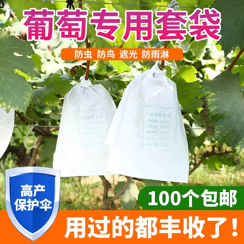葡萄专用套袋水果袋子半透明莲雾葡萄智能纸袋葡萄套袋子防鸟虫袋