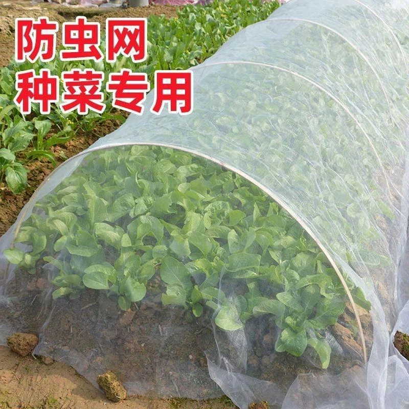 防虫种菜专用防虫网加密纱网菜园防护菜地种菜大棚防虫专用网商品图