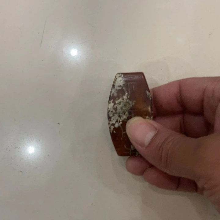 吊坠紫金钵盂菩提
