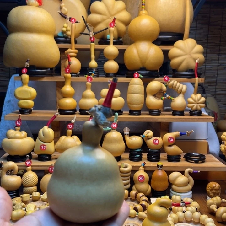 L****天然葫芦自然生长