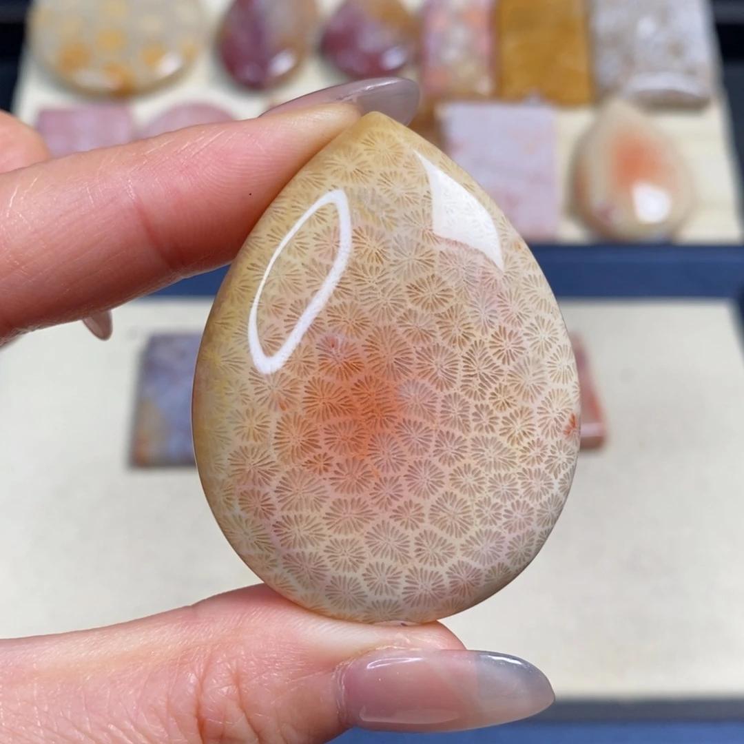 转***骨硅化玉未镶嵌吊坠