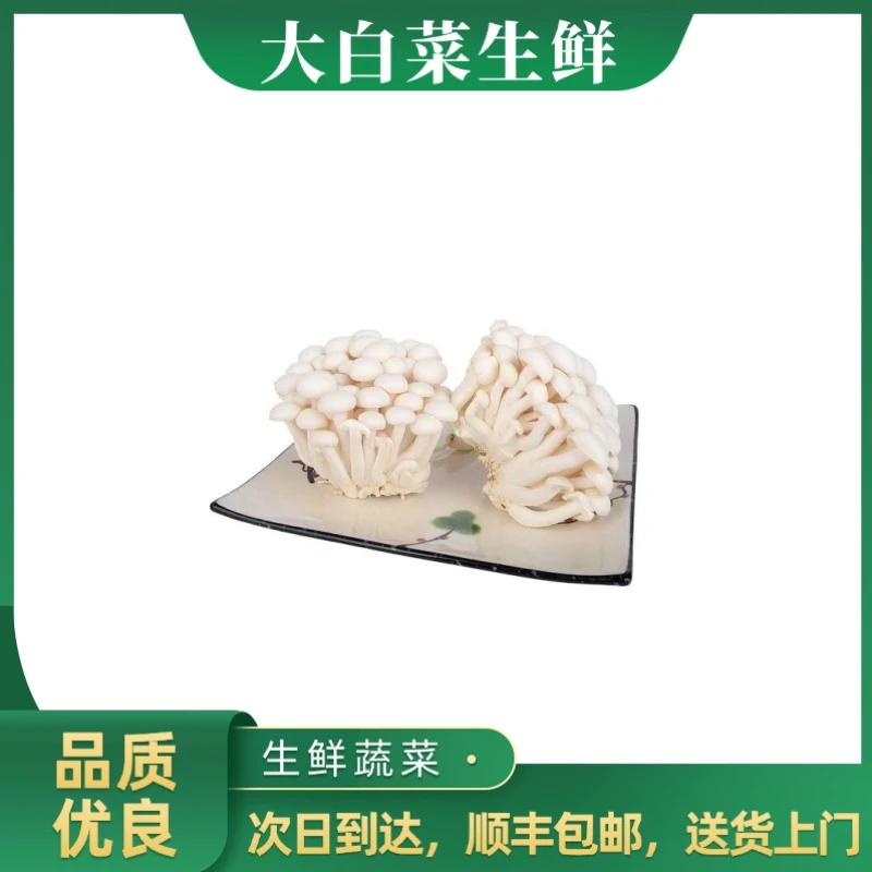 白玉菇 500g±20g蘑菇