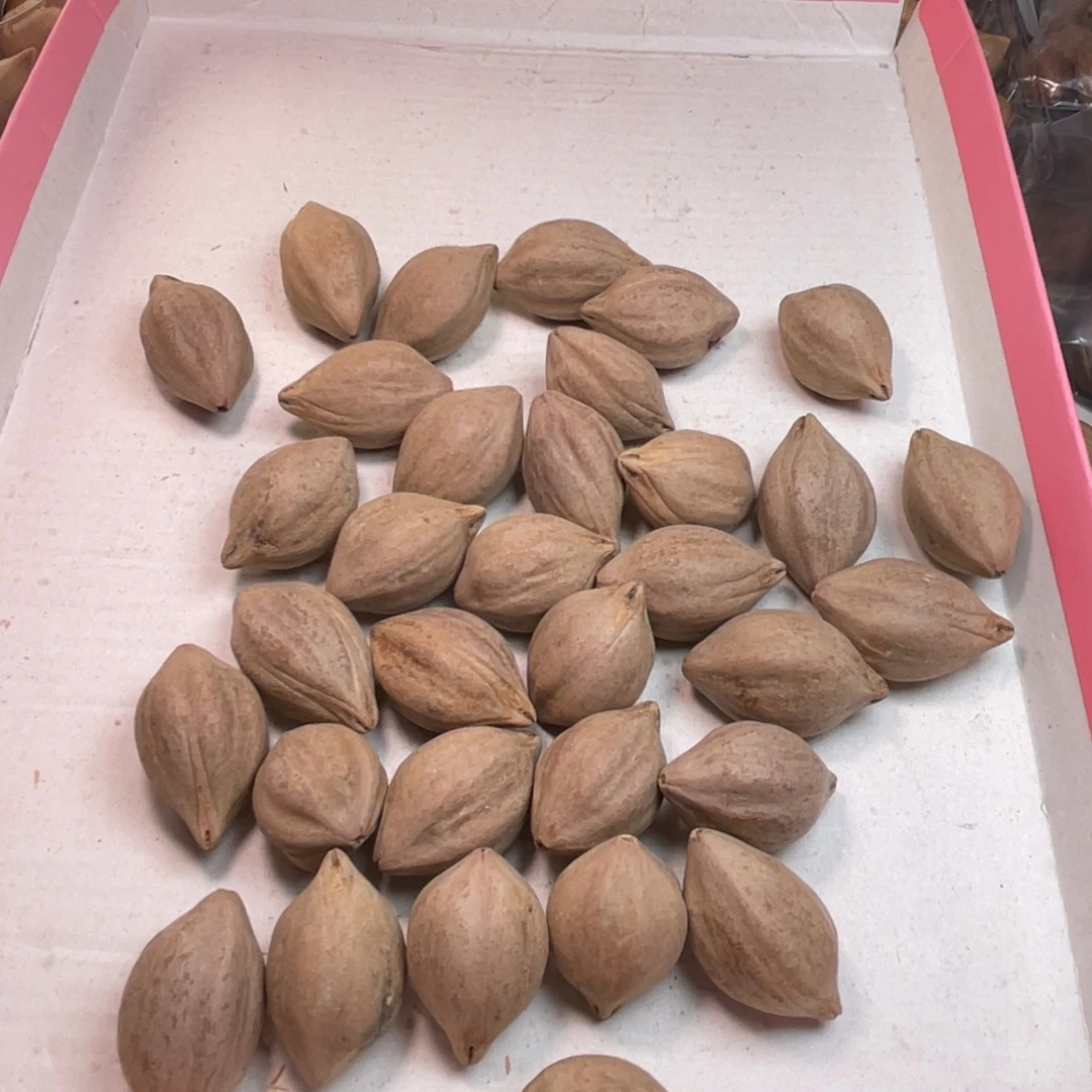 柠***泪手串/手链橄榄核1