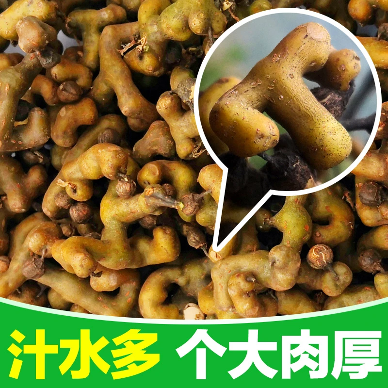 2025年陕西秦岭新鲜拐枣鸡爪梨水果万寿果生吃泡酒煲汤鲜果