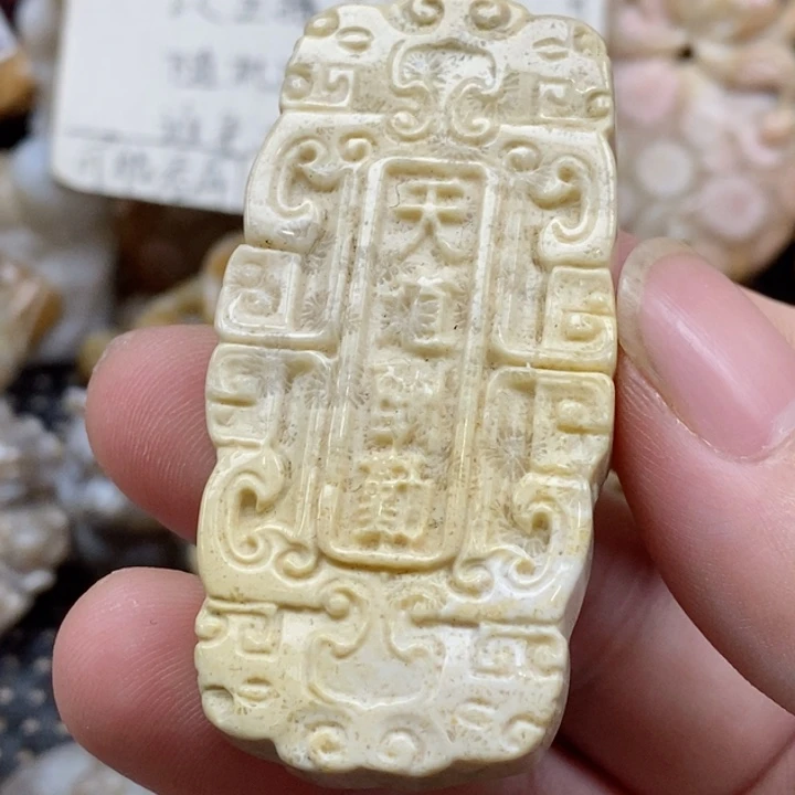 颈饰未镶嵌硅化珊瑚（珊瑚玉）