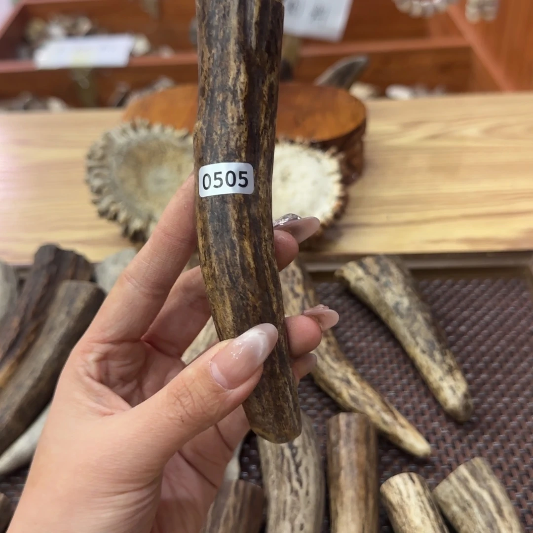 鹿骨其他0505脚尖