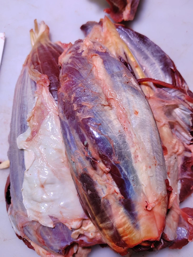 内蒙古锡林郭勒盟黄膘牛  牛腱子