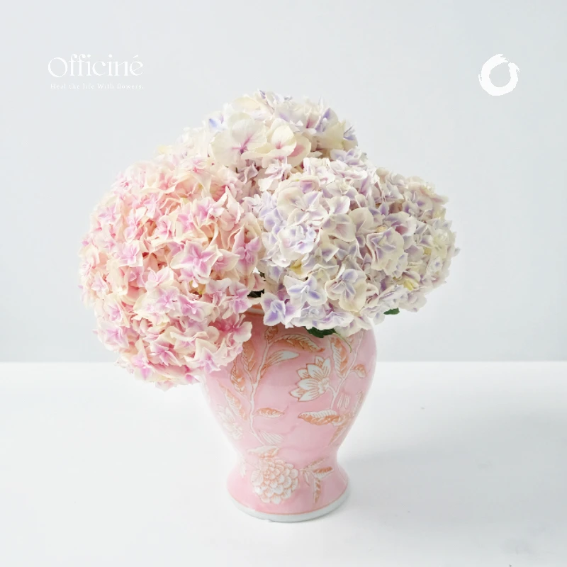 绣球 龙凤 Officine美好花市基地直采鲜切花云南顺丰空运