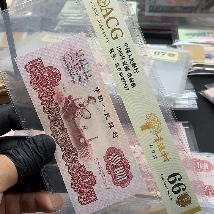 幸运树一张尾517绝品
