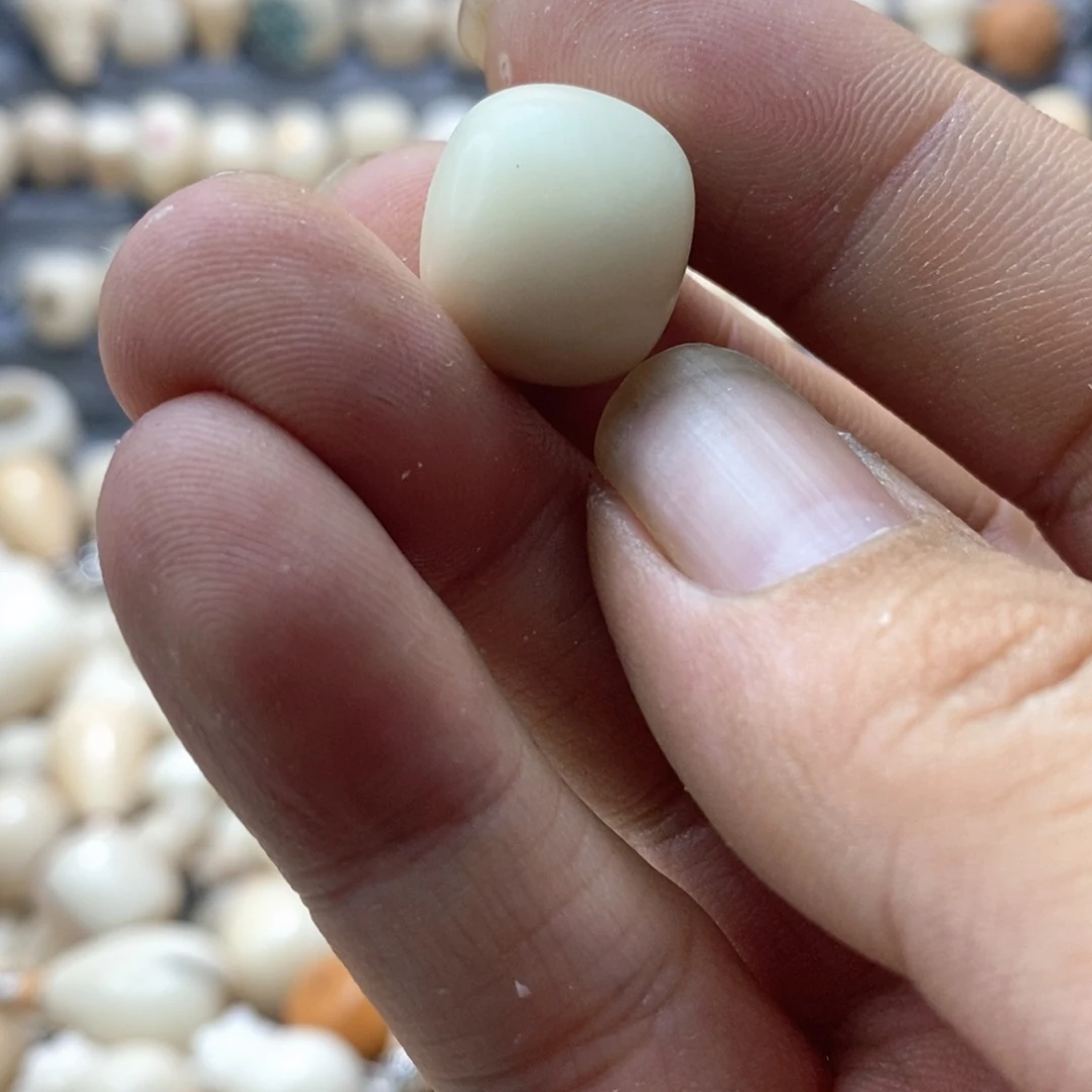 奇***怪吊坠菩提根/象牙果