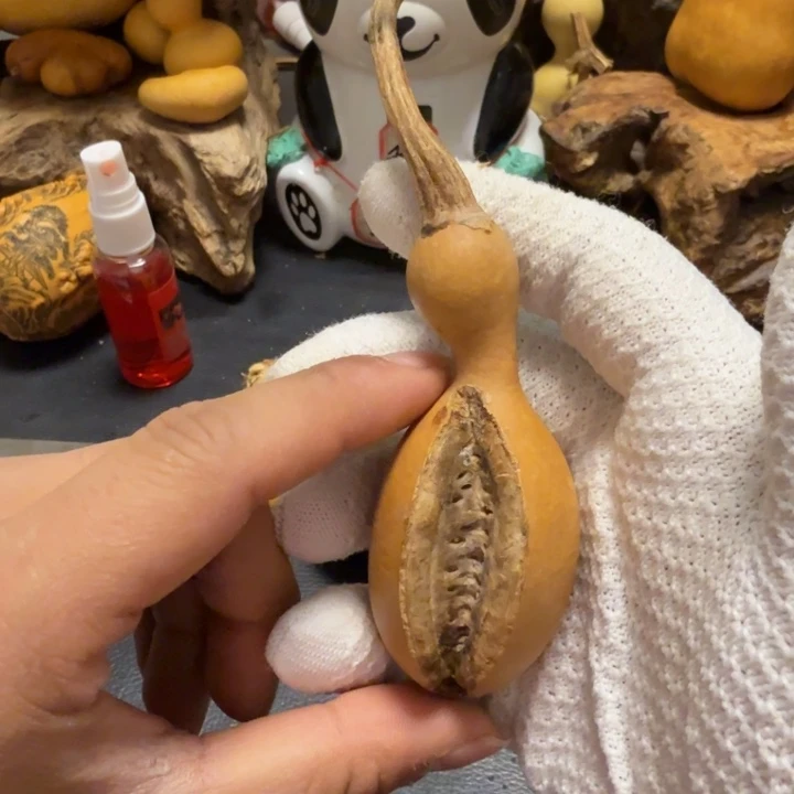 雷***66……………………………………