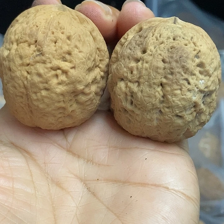 文玩核桃把件云南铁核桃基地84