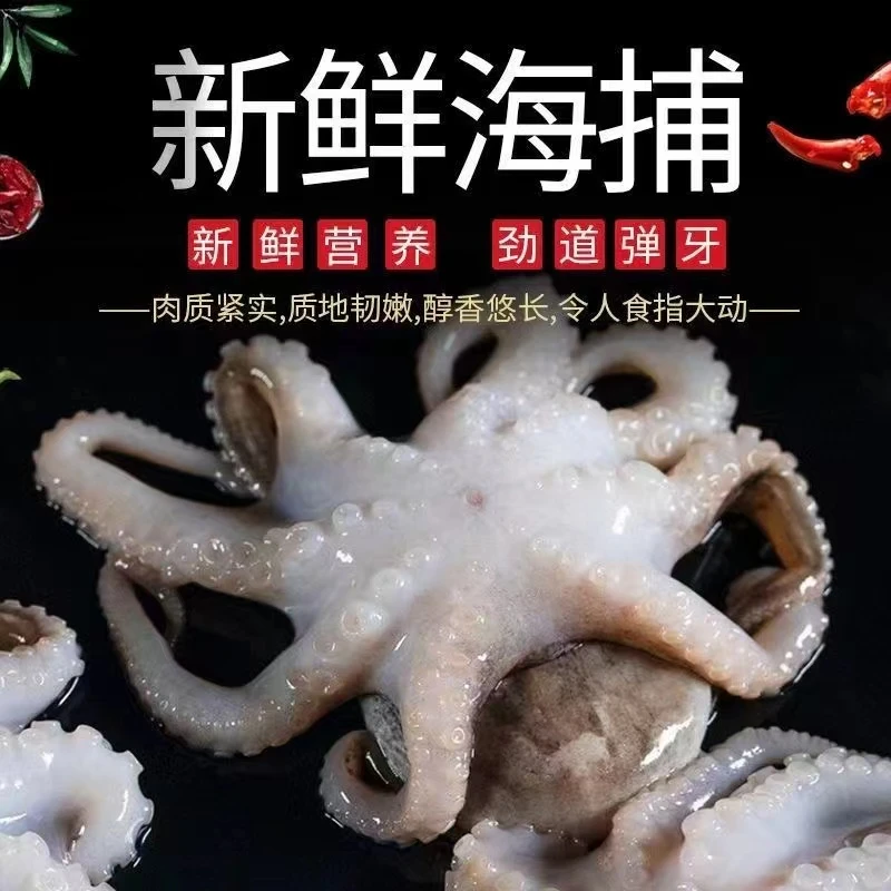 新鲜 速冻八爪鱼 4斤 日照发货