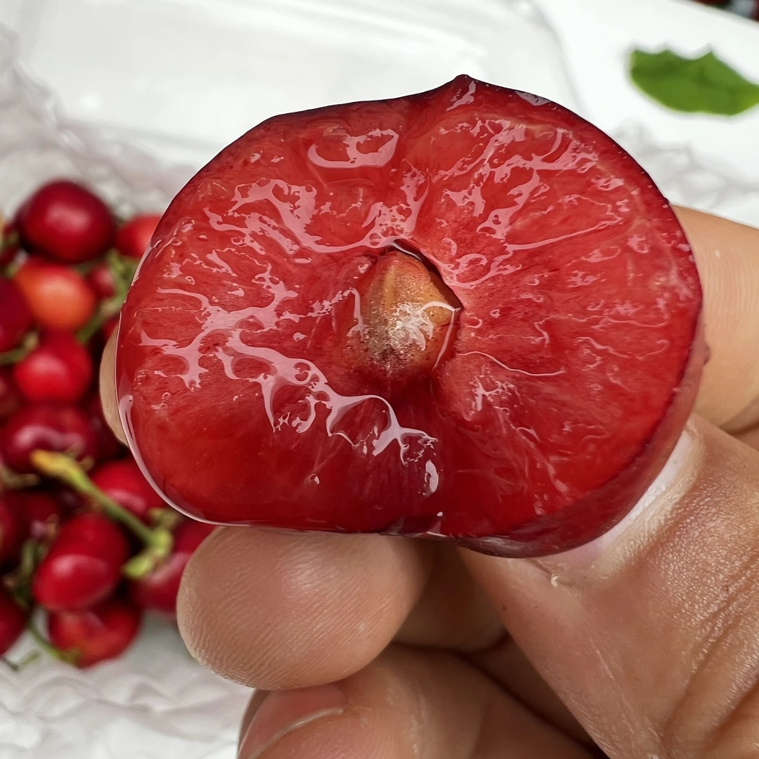 【即时零售】布鲁克斯樱桃 脆甜可口 风味浓郁 2斤分装 2J新鲜水果布鲁克斯樱桃