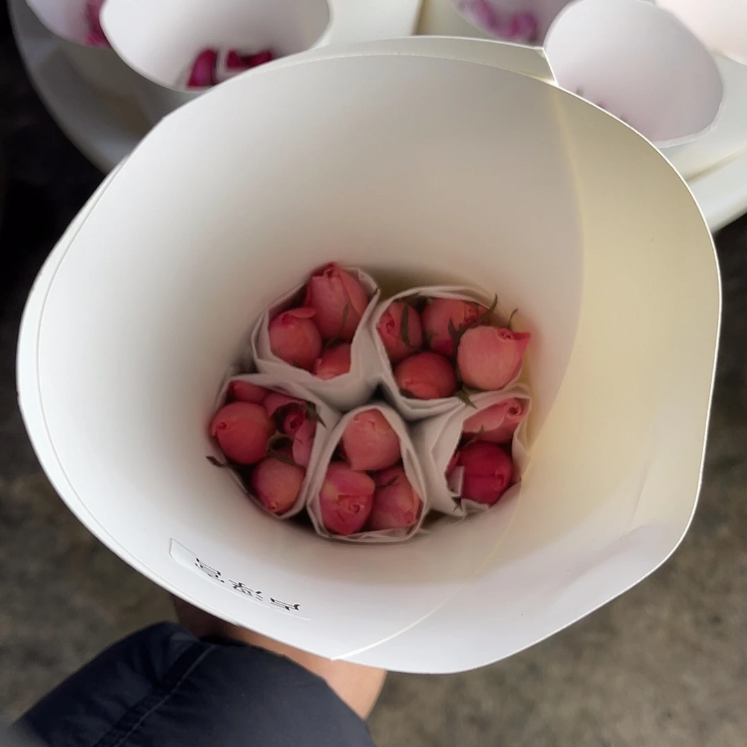 全部花苞醒目（卢浮宫）一扎