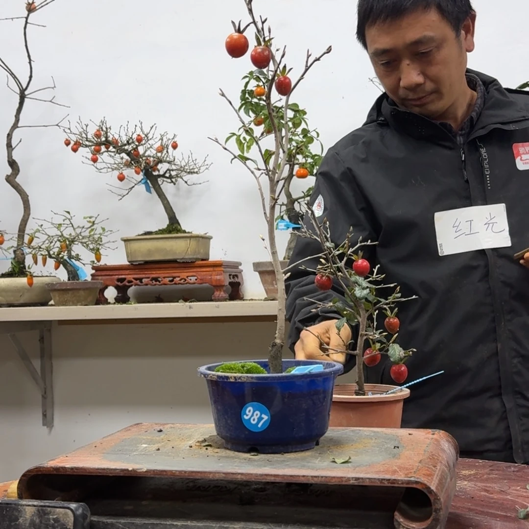 用***2无花朵987顺丰到付不包邮