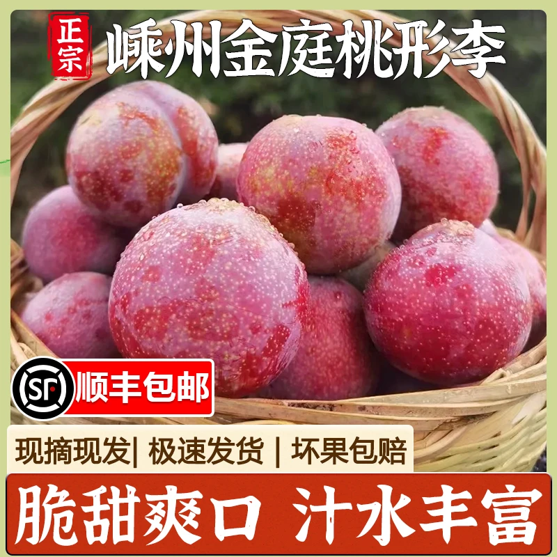 正宗嵊州桃形李现摘现发顺丰包邮江南名果红心李新鲜水果脆甜特产