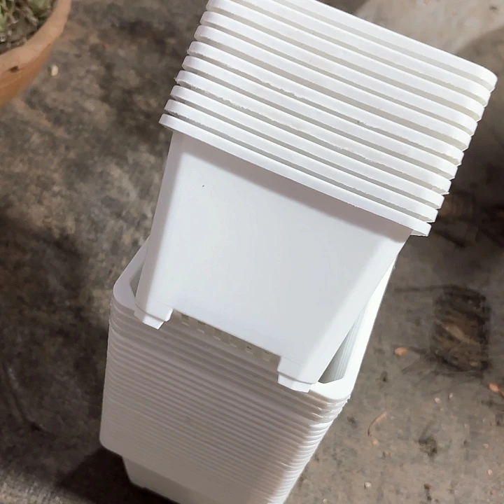 120白方盆11公分高8公分30个