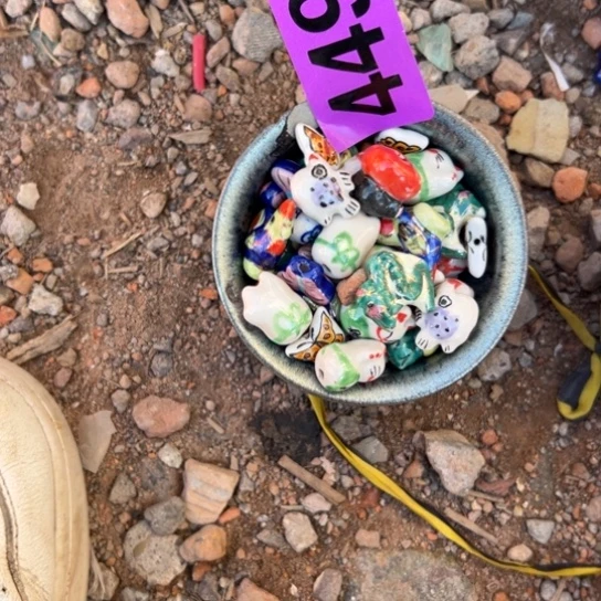 吉***子杂色豆（科檀/科特迪瓦檀木）