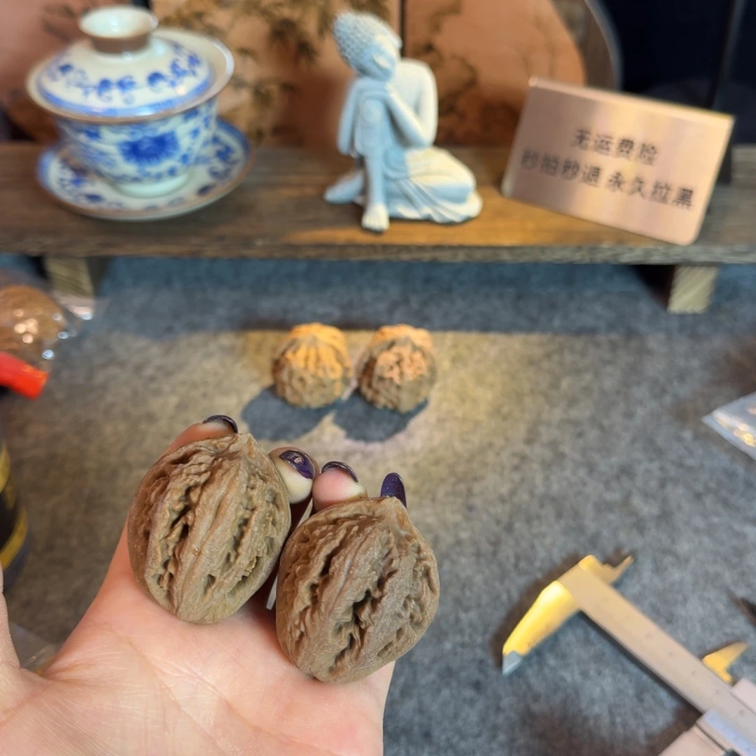 全品45霸王龙白茬