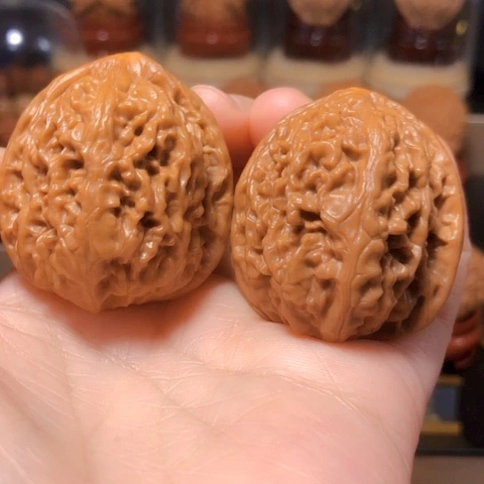 野生小众：精品核尊