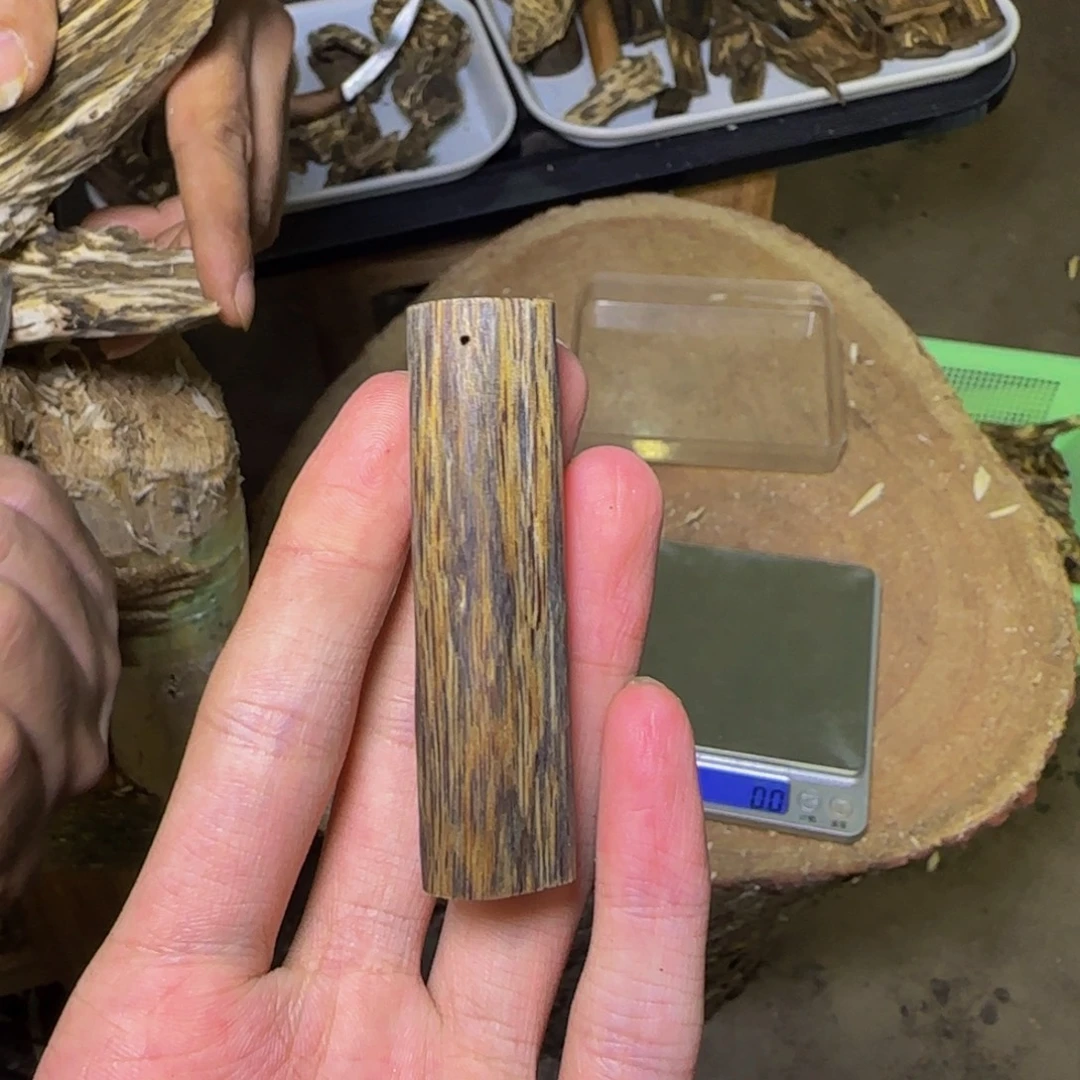 金***1沉香金莎叶吊坠发一份