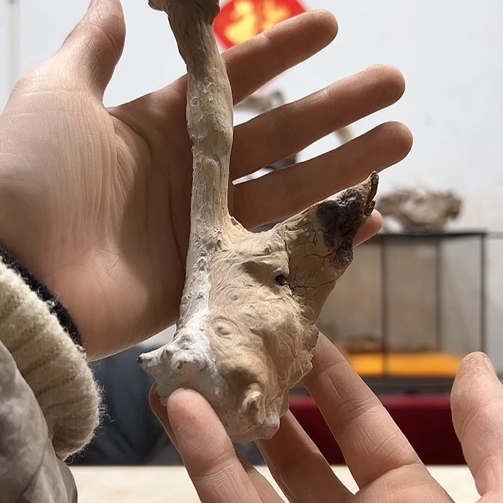 柏木空*我们的生活也是