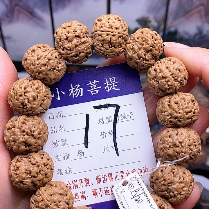 手串金刚菩提20玉珠双龙