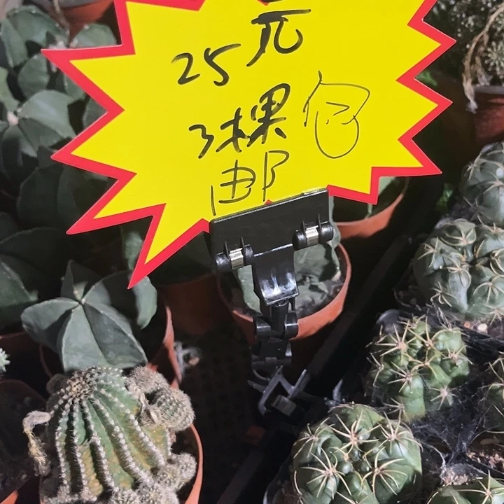 25米3颗9.9米的包邮