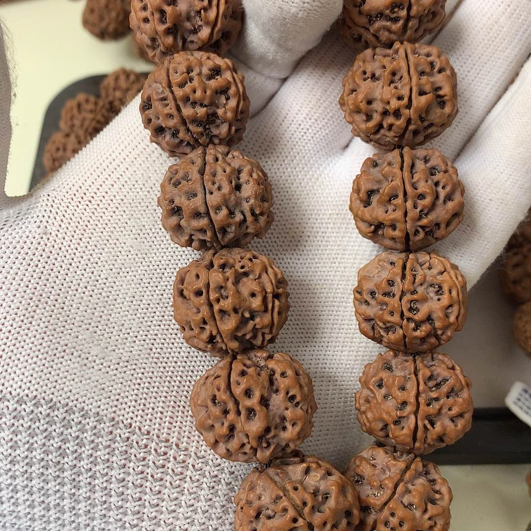 金刚菩提吊坠【福利】23尺寸古龙红油皮