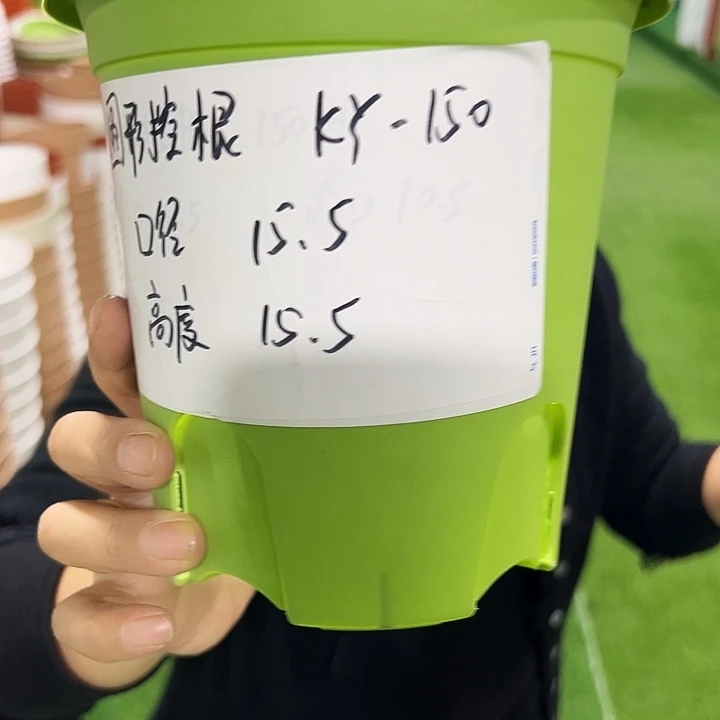 正品圆控口15高15果绿无托10只