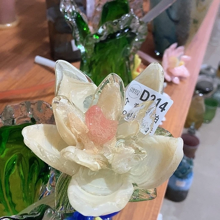 琉璃琉璃花高45口9
