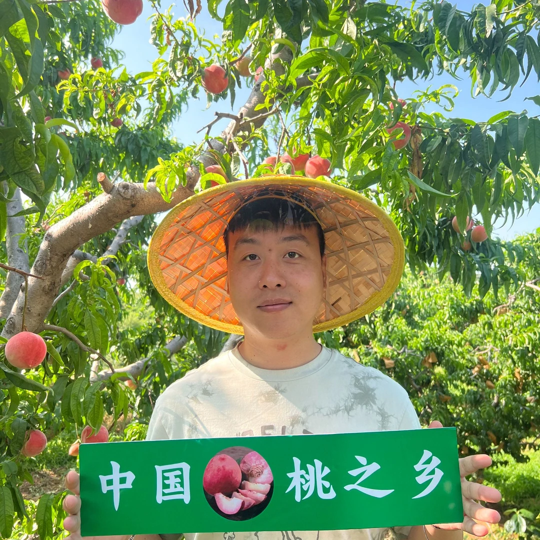 【甘甜脆爽】【大果】正宗桃子之乡头茬高山水蜜桃新鲜下市产地直发当季新鲜水果桃子河北省