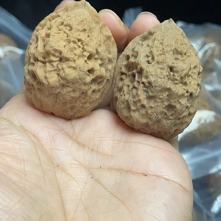 木质类云南铁核桃基地49