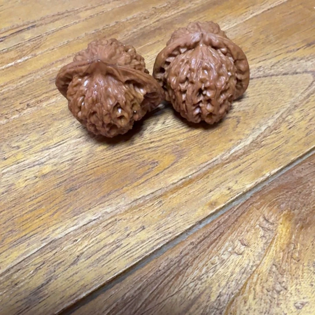 老任艺术生活粉丝专属