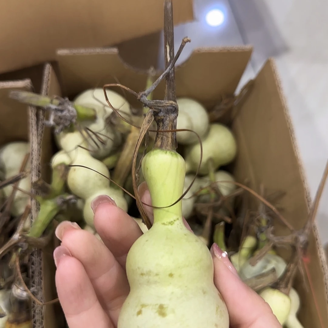 冬***九葫芦v哈哈尴尬不哼哼唧唧