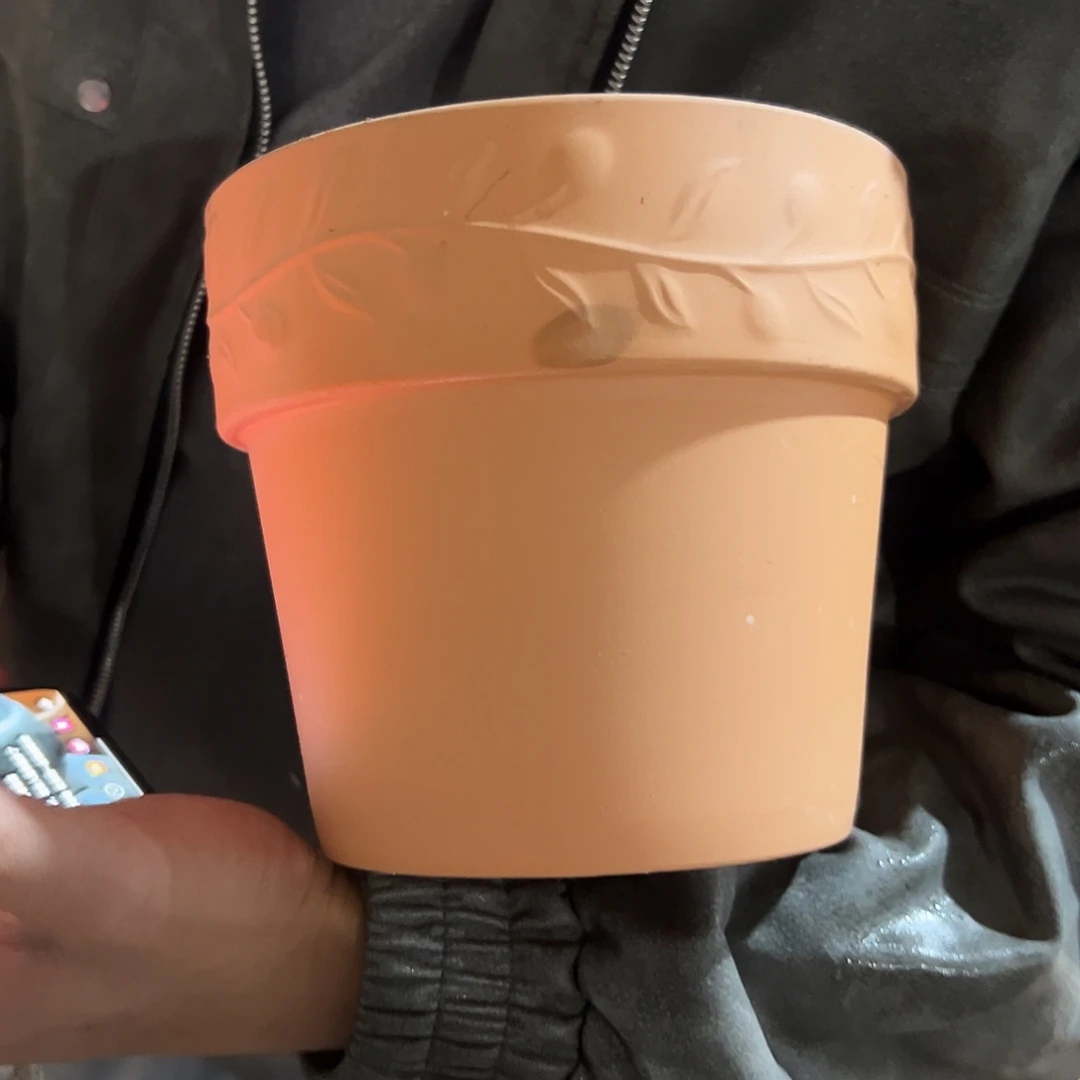 瑕疵泡水橄榄很脏16口14高1个【发黑很脏】