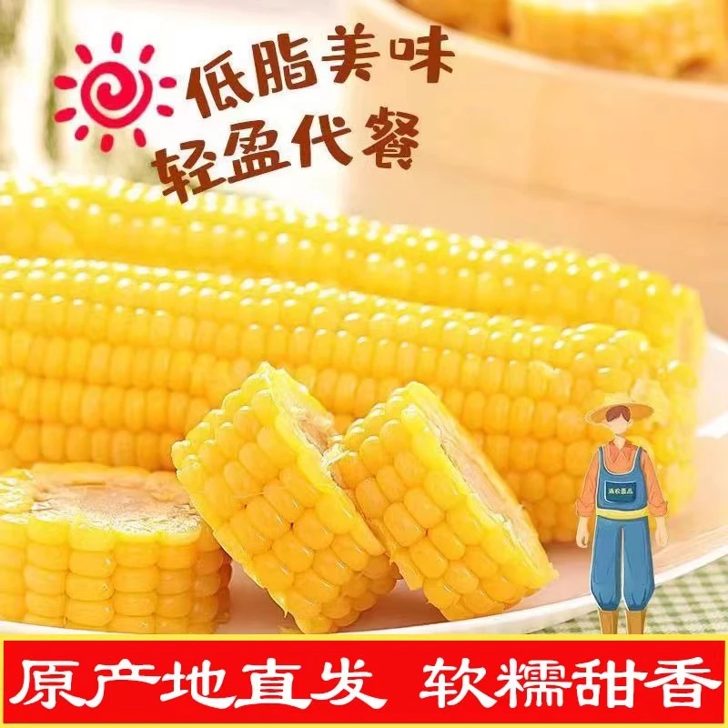 东北鲜食玉米【黄糯】产地黑龙江北纬47°【8根包邮】