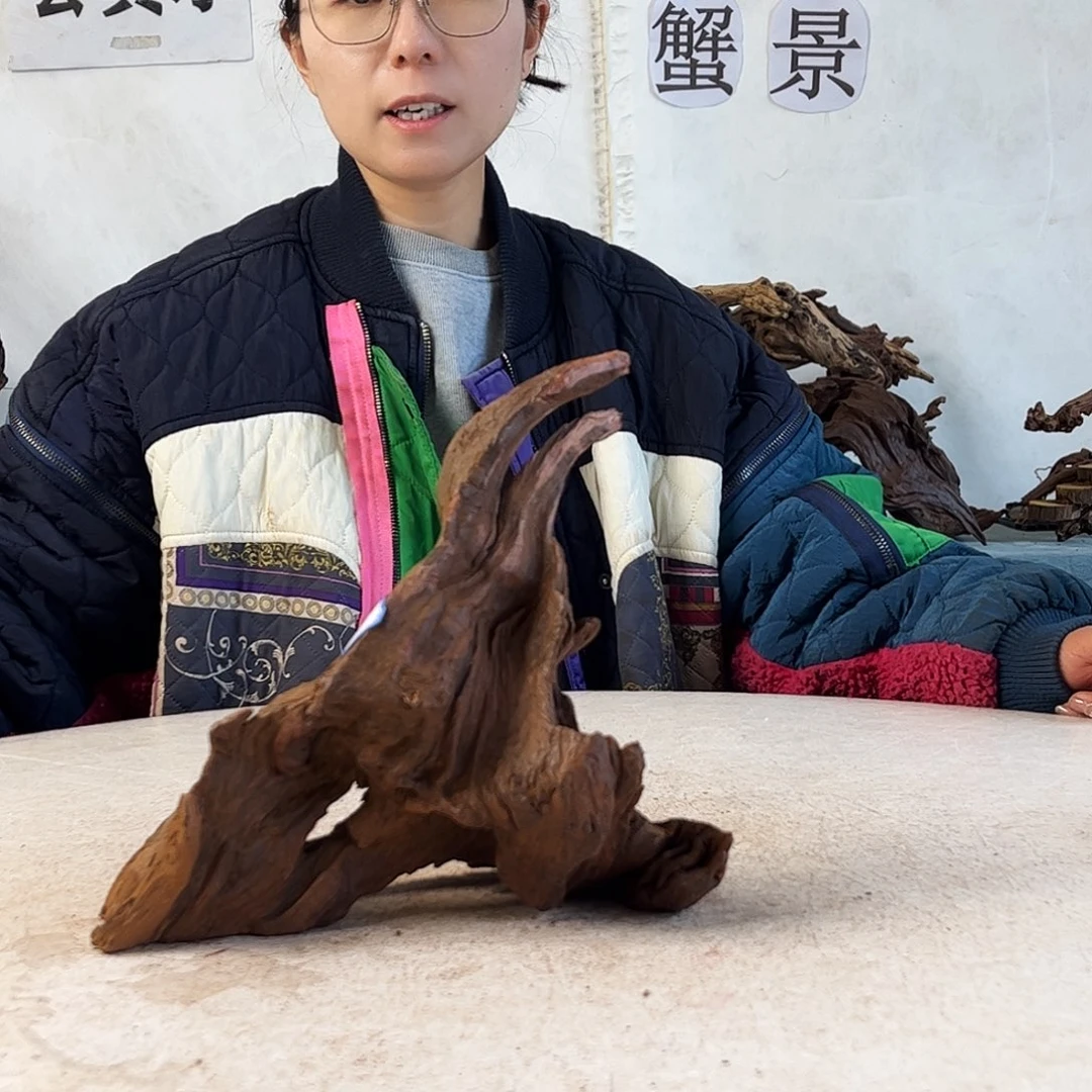 沉木造景爬宠造景