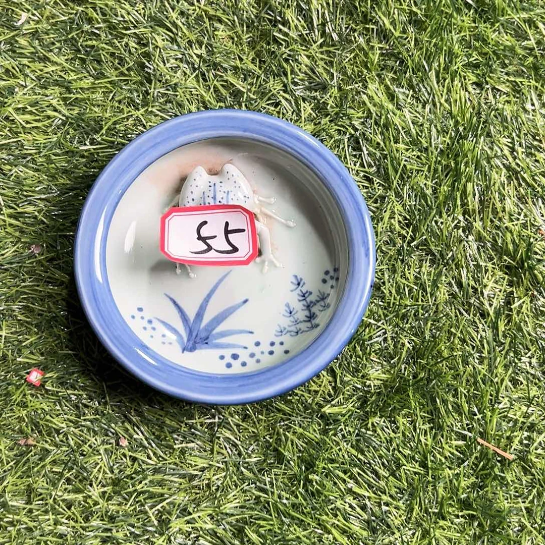 摆件瓷器，摆件，工艺品