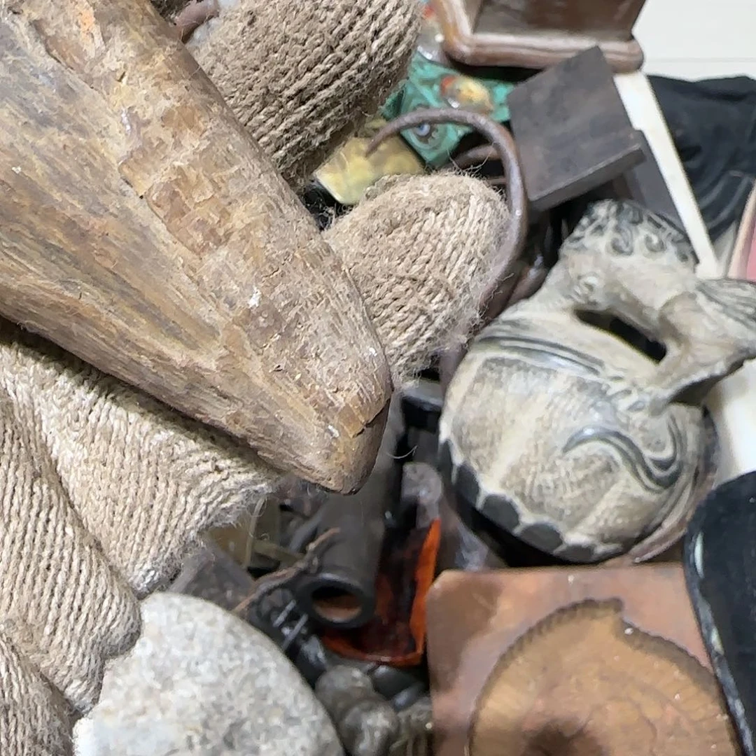 哈***木一物一图看好在拍