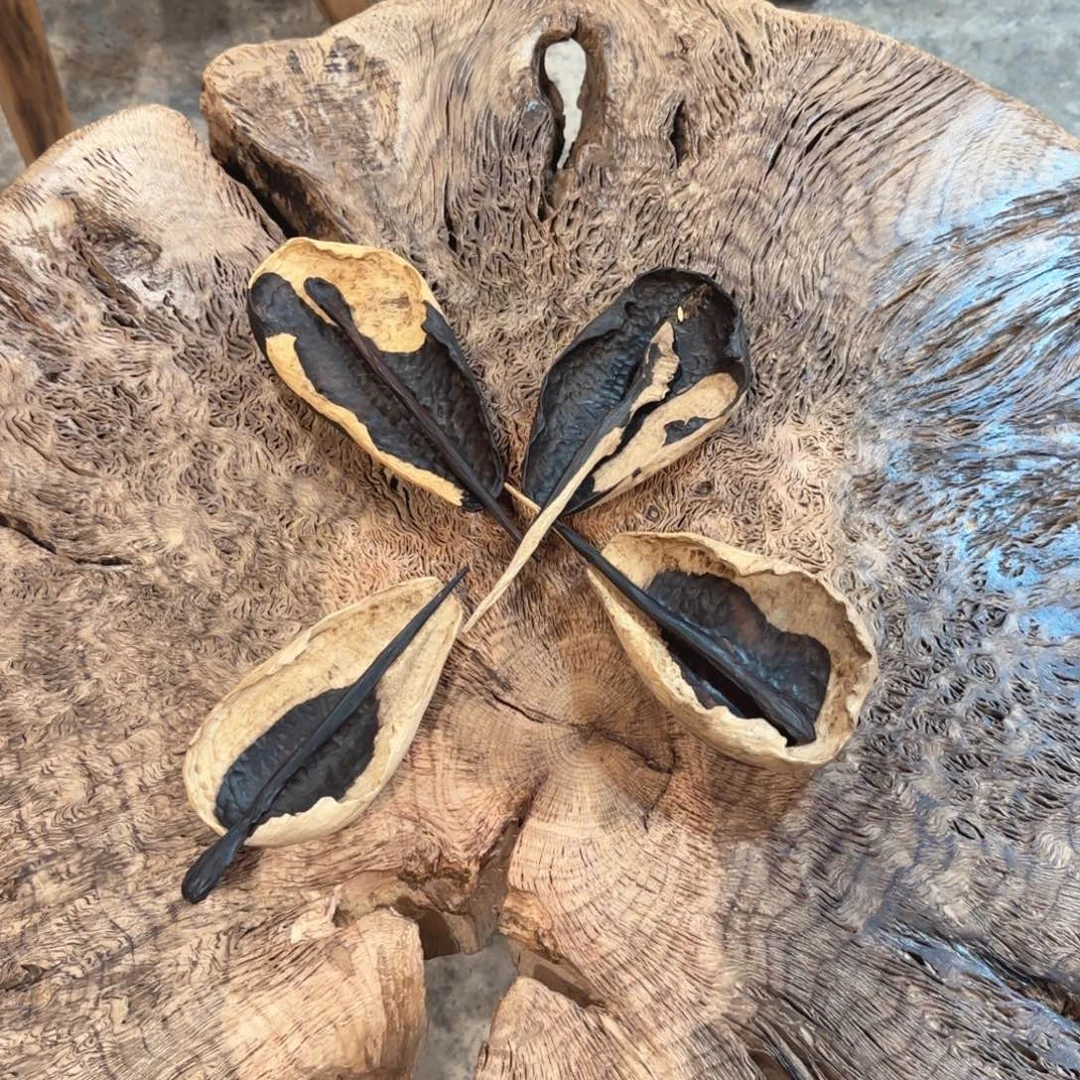 木***然木紫光檀 一木整挖 茶则