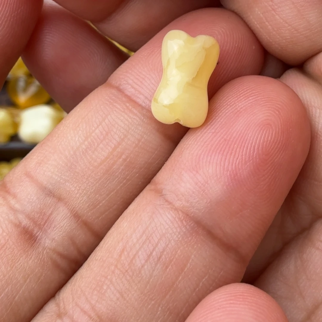 未镶嵌琥珀珠宝奇石