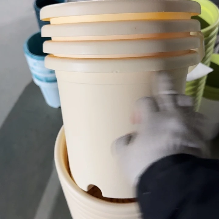 四季4#口径25米黄5个无托