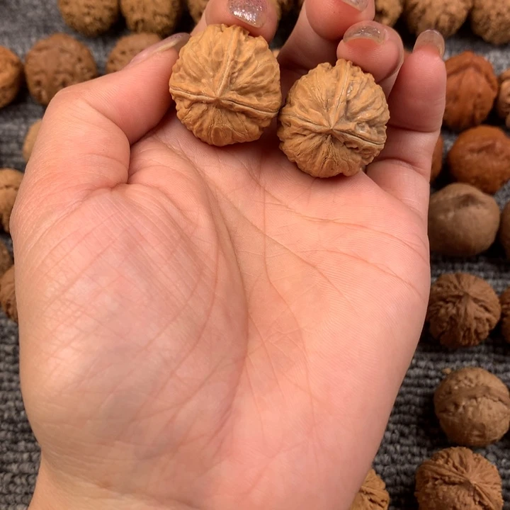 三棱。