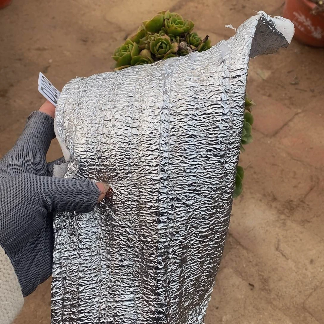 低于0西北区拍保温棉，不拍冻伤不售后