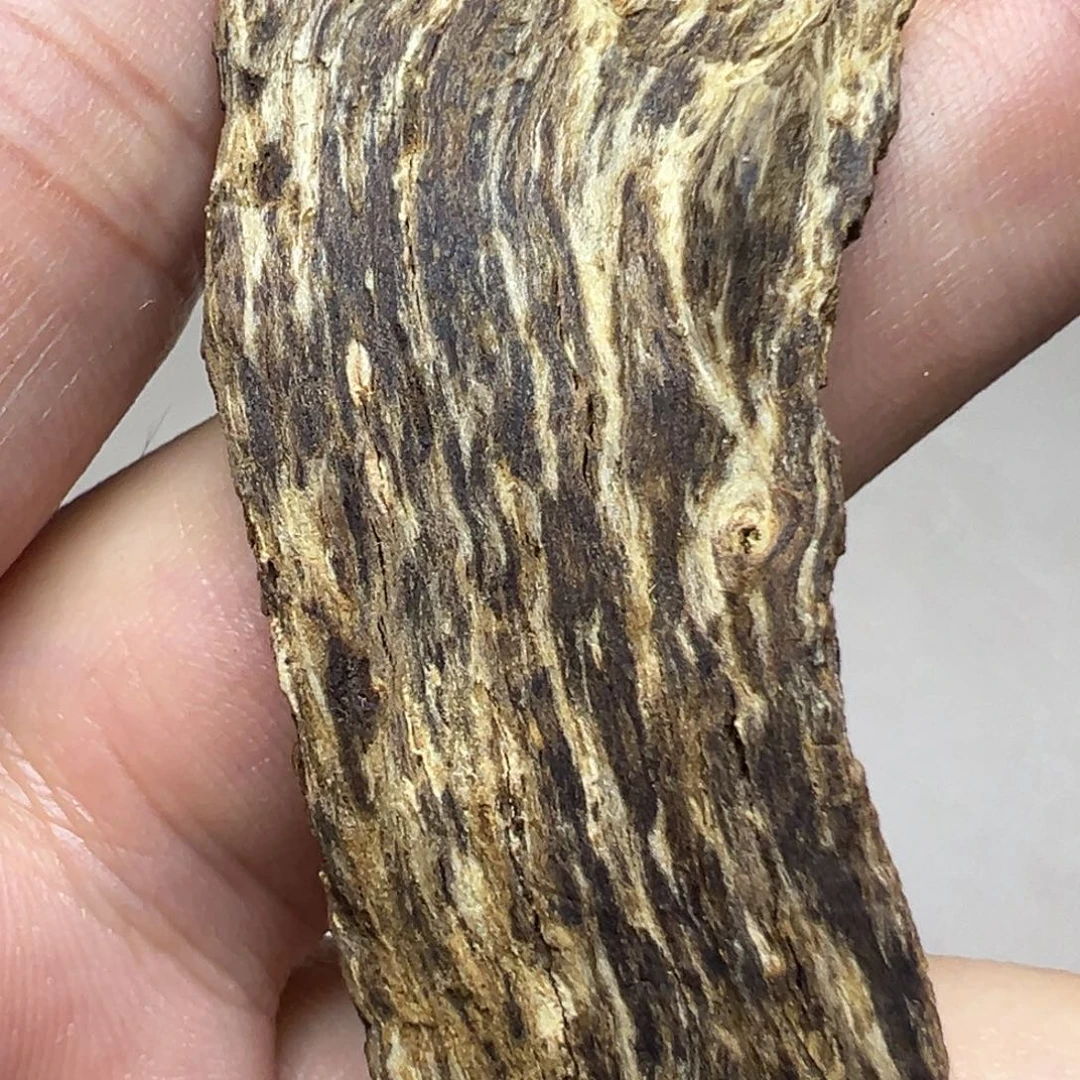 牛***）沉香碎屑沉香柬埔寨树根油2.2g