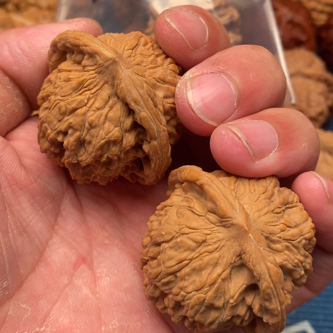 强***r文玩核桃把件红狮子头