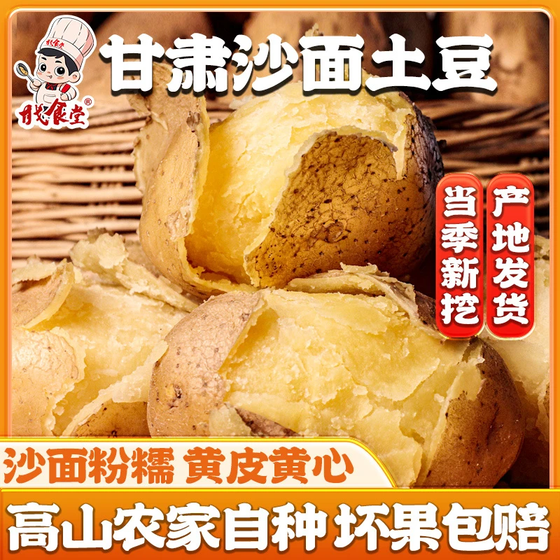 2025年甘肃定西现挖新鲜土豆农家自种洋芋黄皮黄心马铃薯整箱产地