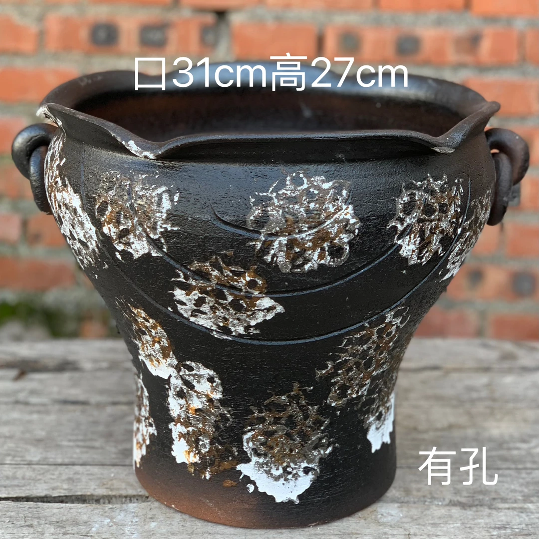 111大苹果落地大绿植天堂鸟大号落地粗陶